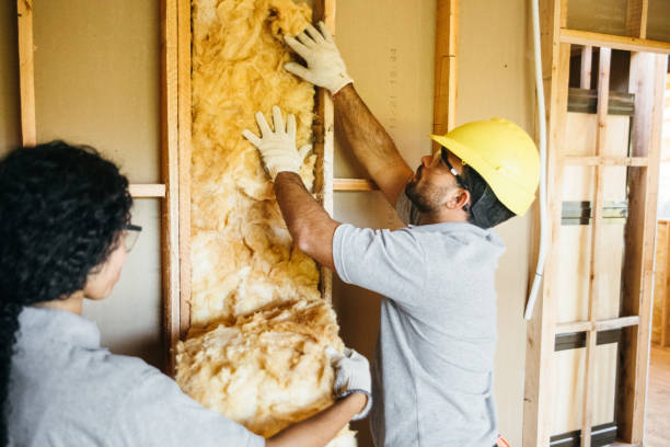 Best Insulation Contractors for Homes  in Lincoln University, PA