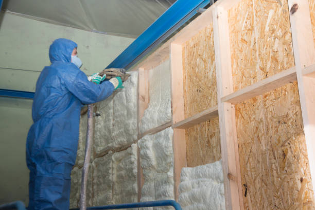 Best Insulation Removal Services  in Lincoln University, PA